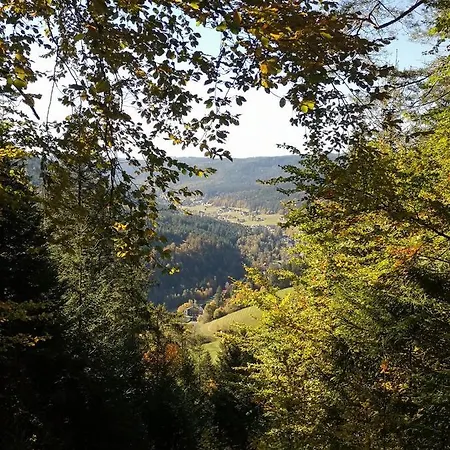 Daire Altes Berghaus Obertal (Karlsruhe)