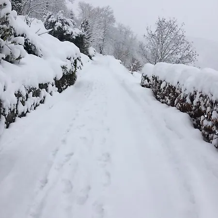 Altes Berghaus Daire